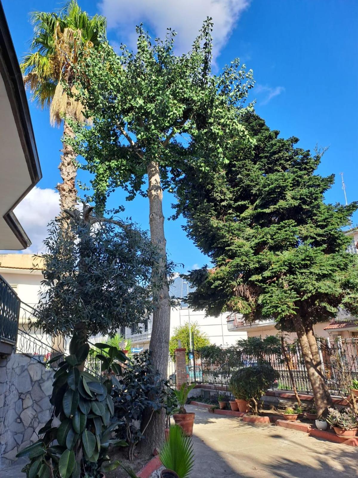 A Casa Di Luigi 2 Daire Mugnano di Napoli Dış mekan fotoğraf